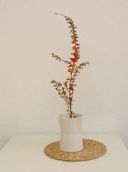 h661